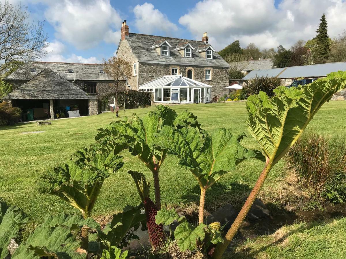 Treveighan Farmhouse Saint Teath Exterior photo
