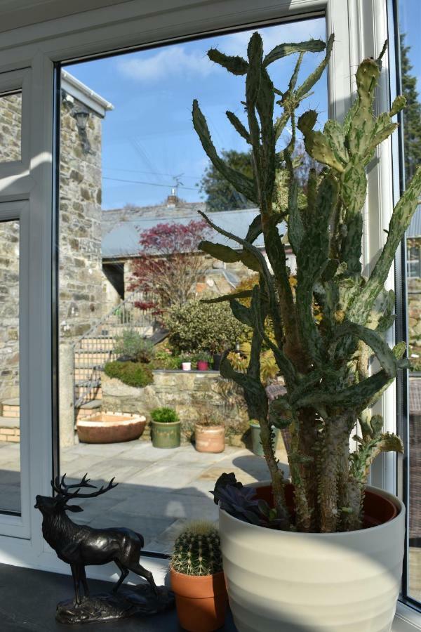 Treveighan Farmhouse Saint Teath Exterior photo